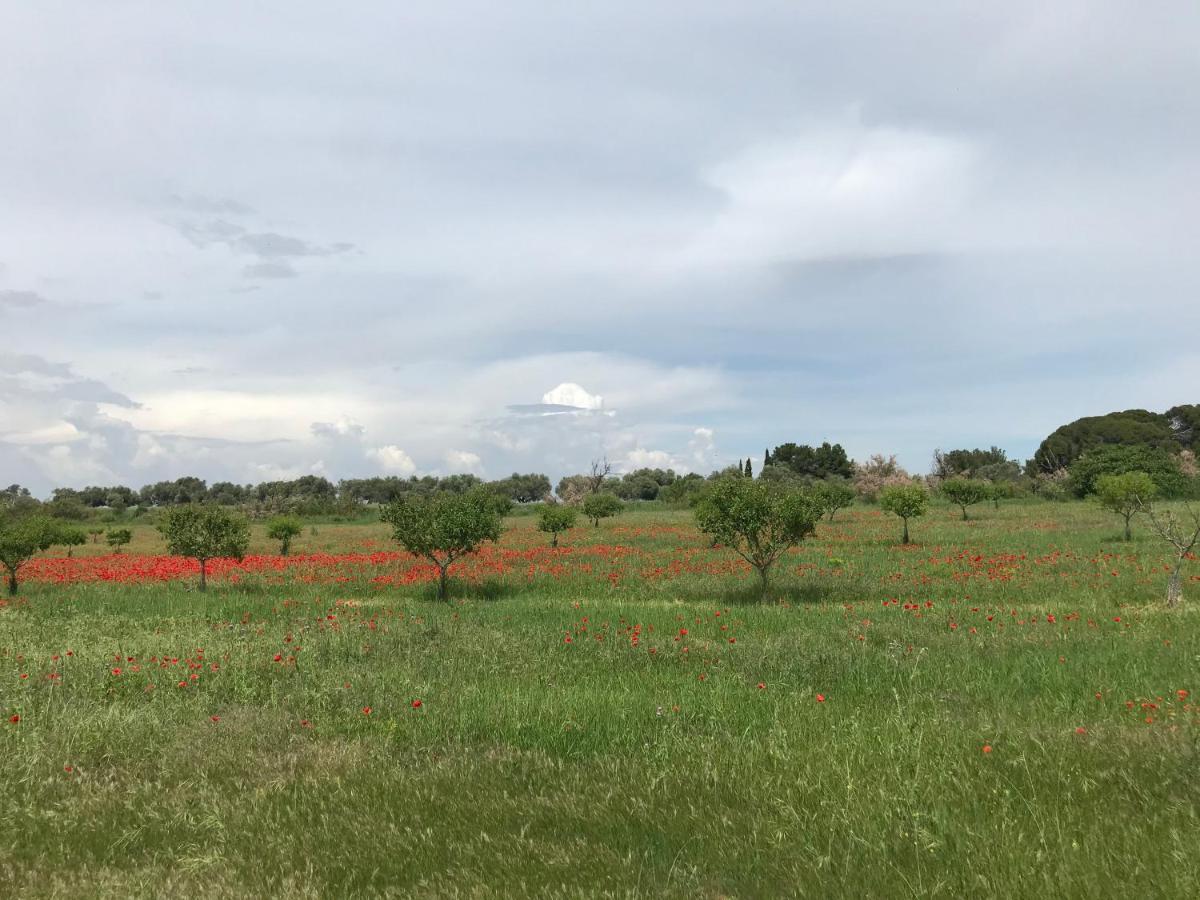 לינה וארוחת בוקר מרסיאן Au Bord De Thau מראה חיצוני תמונה